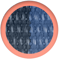 ColorSwatch