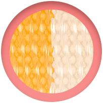 ColorSwatch