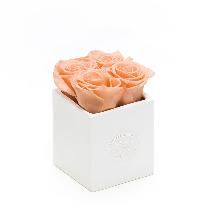 Roses / Peach Nectar